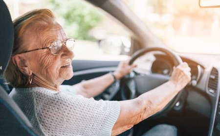 Bursa / Gemlik Sürücü Kursları