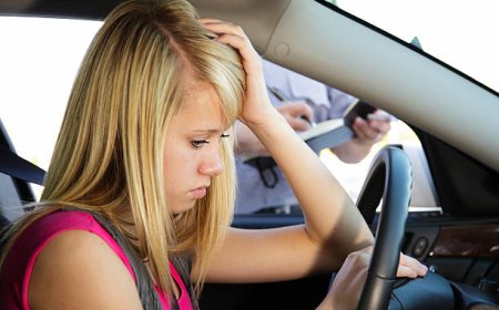 TRAFİK ADABI DERSLERİ  -  Bölüm 1  Trafikte Adap Kuralları