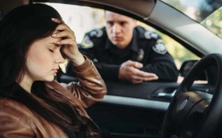 TRAFİK ADABI DERSLERİ  -  Bölüm 2  Trafikte İletişim