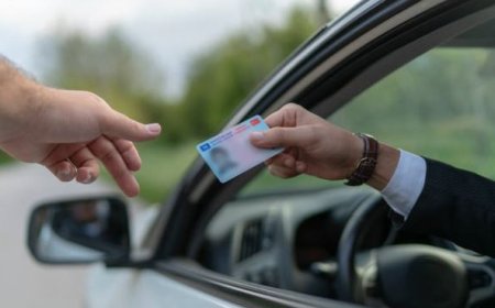 Adana / Yüreğir Sürücü Kursları