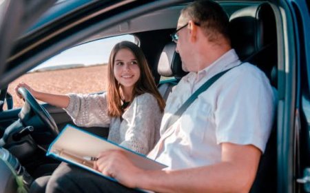 Zonguldak / Alaplı Sürücü Kursları