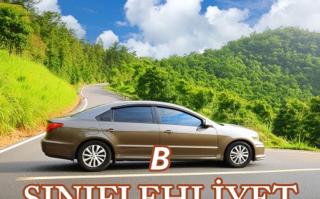B Sınıfı Ehliyet Maliyeti ve Şartları (2024 Güncel)