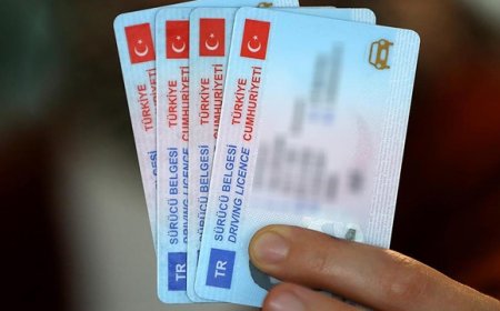 Türk Ehliyeti Hangi Ülkelerde Geçerli?
