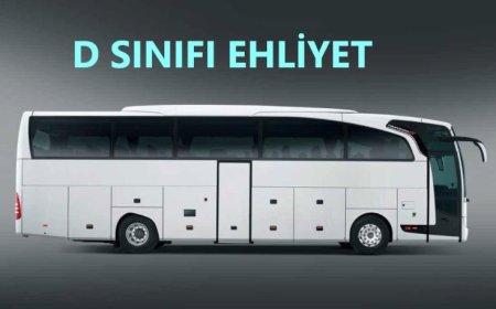 D Sınıfı Ehliyet Güncel Maliyet ve Şartları   2024