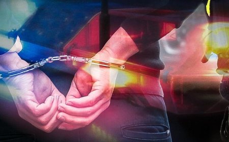 Ceylanpınar'da Sahte Ehliyet Skandalı 12 Şüpheli Yakalandı