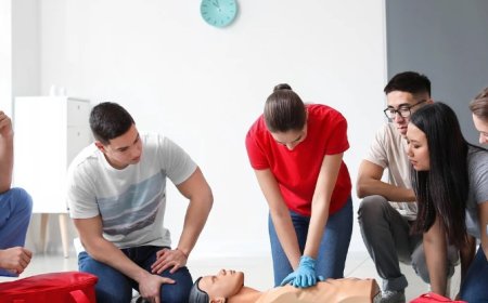 2024 Ehliyet Sınavı İlk Yardım Bilgisi Çıkmış Sorular 2