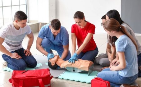 2024 Ehliyet Sınavı İlk Yardım Bilgisi Çıkmış Sorular 3