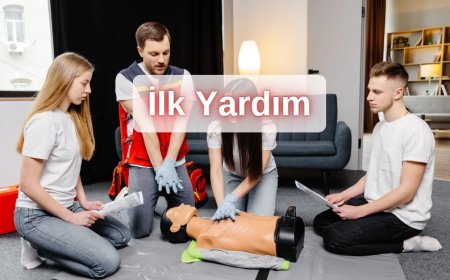 2024 Ehliyet Sınavı İlk Yardım Bilgisi Çıkmış Sorular 5