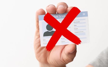 Ehliyet İptali ve Geri Alım Süreçleri, Kimler Risk Altında?