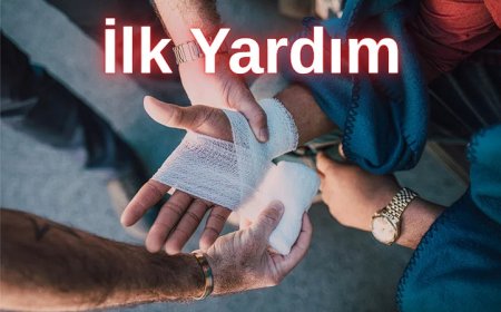 2025 Ehliyet Sınavı İlk Yardım Bilgisi Çıkmış Sorular 4