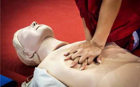 2025 Ehliyet Sınavı İlk Yardım Bilgisi Çıkmış Sorular 5