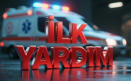 2025 Ehliyet Sınavı İlk Yardım Bilgisi Çıkmış Sorular 8