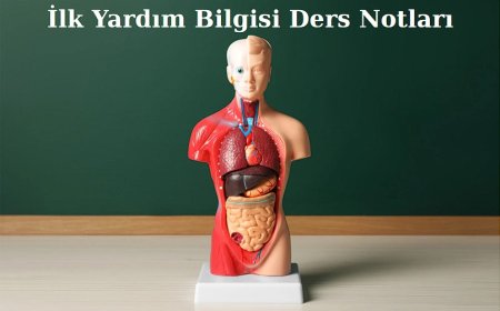 Ehliyet Sınavı için İlk Yardım Bilgisi Ders Notları